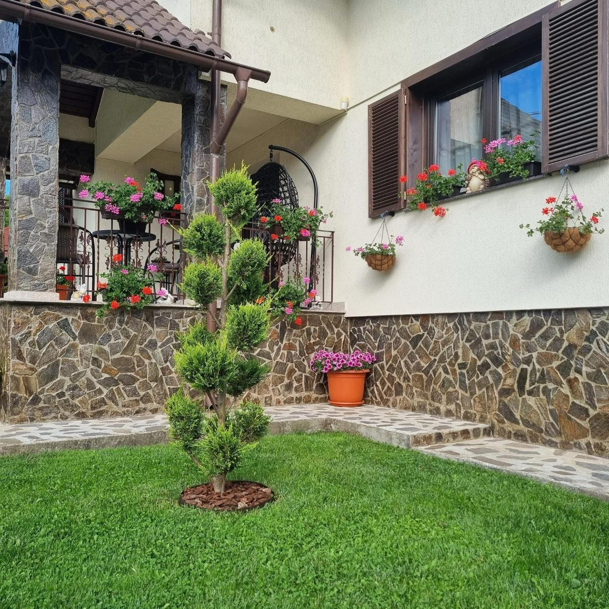 Pensiunea Select Curtea De Arges Exterior photo