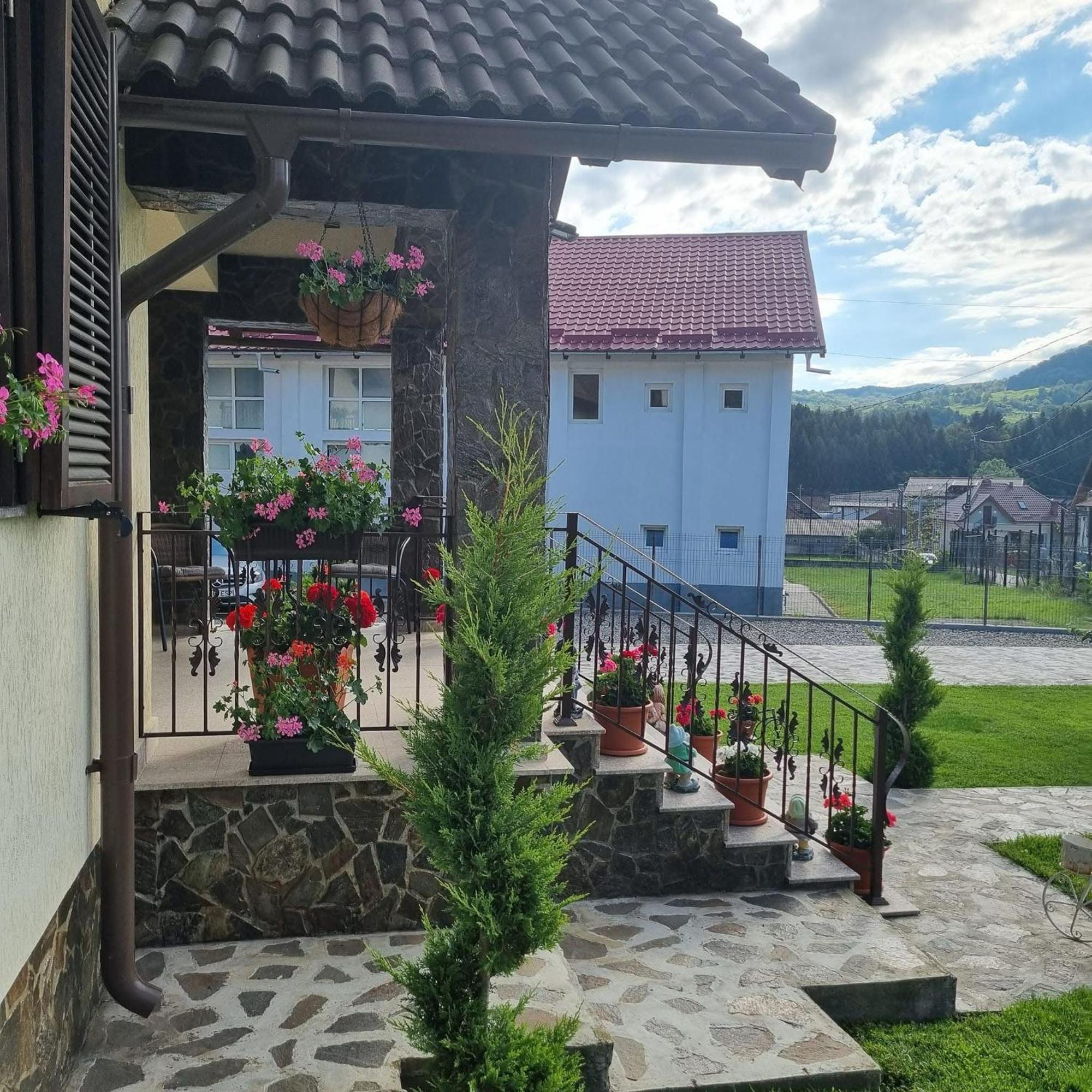 Pensiunea Select Curtea De Arges Exterior photo